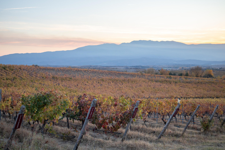 Sofia: Sandanski and Pozar Thermal Escape 9-Day Spa Tour