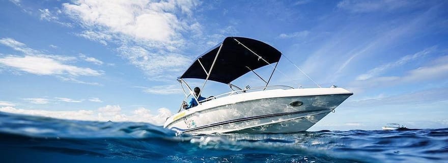 Ile Maurice : Nagez avec les dauphins toute la journée avec déjeuner/boissons
