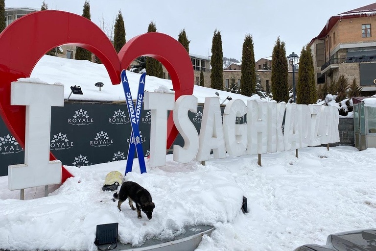 冬季特别之旅：察赫卡佐尔、凯查里斯、阿博维扬和塞凡湖无导游的私人观光