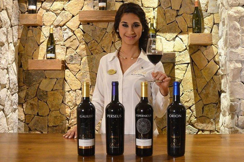 Valle de Guadalupe : Dégustation de vin et visite en calèche