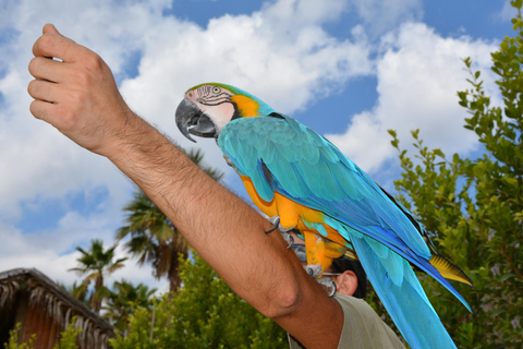 Benidorm: Terra Natura and Aqua Natura Combo Day Ticket Benidorm: Terra Natura and Aqua Natura 1-Day Ticket