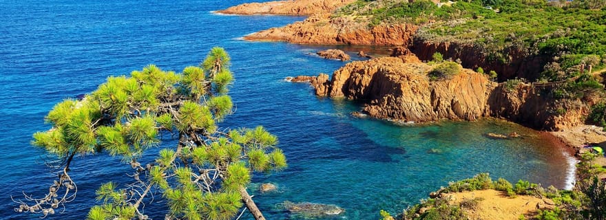 Journée privée en bateau: Explorez la Corniche d’Or et les îles de Lérins