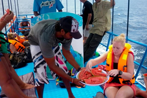 Hikkaduwa/Galle/Ahangama: tour di avvistamento balene a MirissaDa Hikkaduwa, servizio di prelievo e rientro