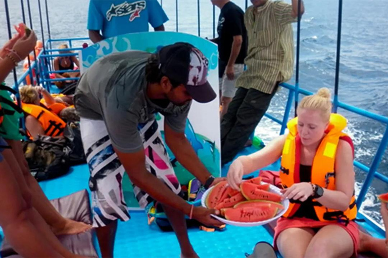 Hikkaduwa/Galle/Ahangama: tour di avvistamento balene a MirissaDa Hikkaduwa, servizio di prelievo e rientro