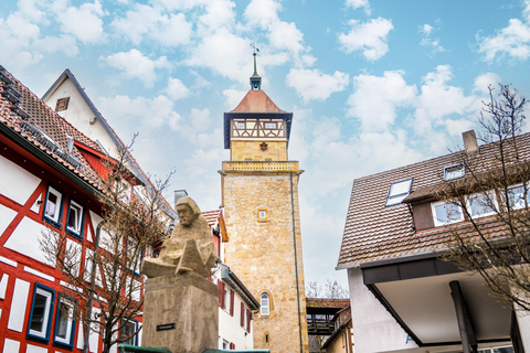 From Stuttgart: Discover Waiblingen with Remsi Escape-Game