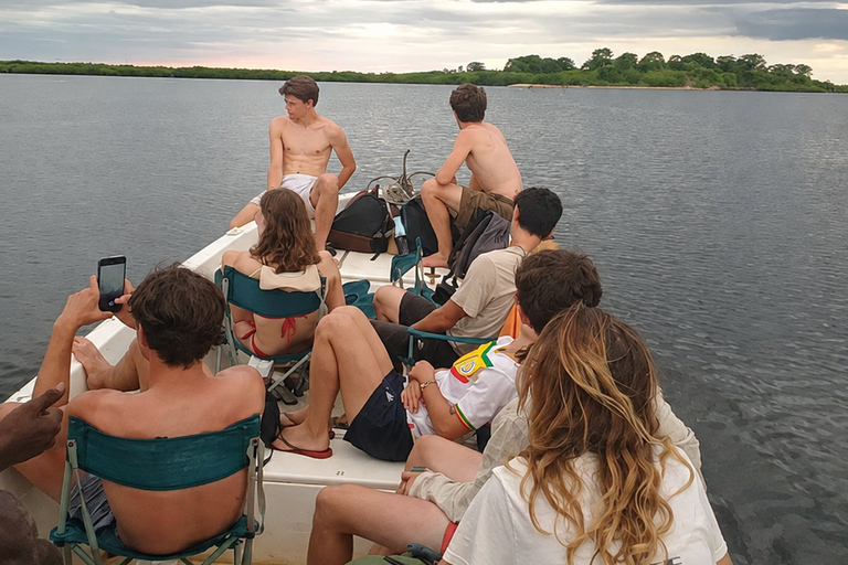 Sine Saloum: Shell Island and Bird Sanctuary