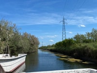 Salina di Cervia, in barca alla ricerca di fenicotteri - Housity