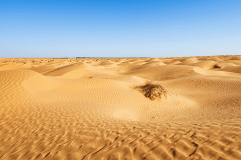 مغامرة خاصة لمدة يوم واحد في الصحراء والقرية البربرية من جربة