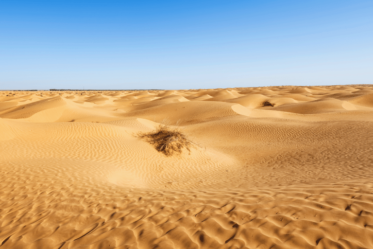 مغامرة خاصة لمدة يوم واحد في الصحراء والقرية البربرية من جربة