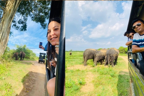 Desde Colombo: Excursión de un día a los parques de Sigiriya, Dambulla y Minneriya