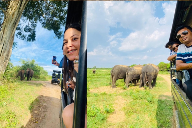 Sigiriya en Minneriya Nationaal Park Dagtour vanuit Negombo
