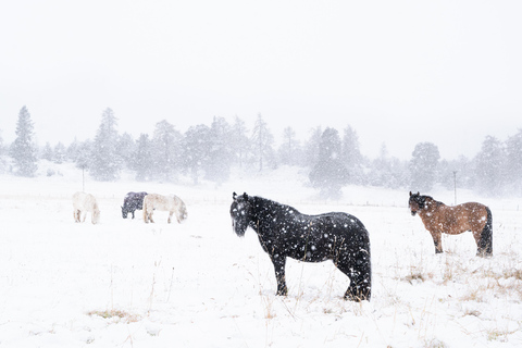 2-Day Private Tour to Glencoe and Inverness 2 Day Private Tour to Glencoe and Inverness