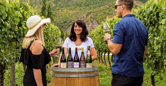 Afternoon Classic Wine Tour: 3 Wineries, Cave Tour & Cheese