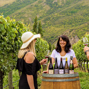 Afternoon Classic Wine Tour: 3 Wineries, Cave Tour & Cheese Afternoon Classic Wine Tour: 3 Wineries, Cave Tour & Cheese