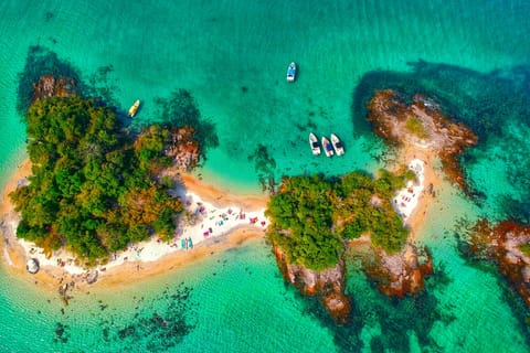 Rio de Janeiro: Angra dos Reis and Ilha Grande, Cruise Tour, and Lunch