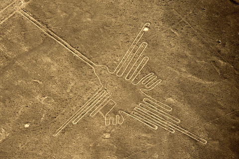 Da Nazca: Volo in aereo leggero sopra le Linee di NazcaDa Nazca: Volo in aereo sulle linee di Nazca