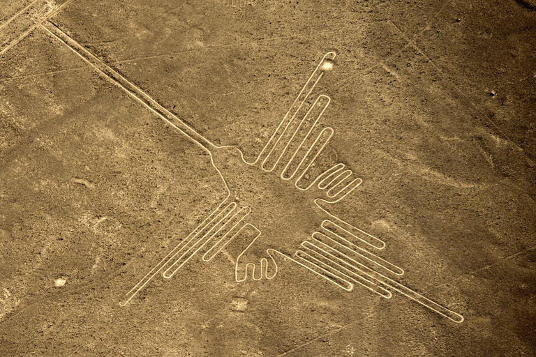Da Nazca: Volo in aereo leggero sopra le Linee di NazcaDa Nazca: Volo in aereo sulle linee di Nazca