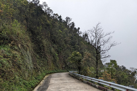 Trektocht Nationaal Park Bach Ma vanuit Hue/Da Nang/Hoi AnVan Hoi An / Da Nang - Kleine groep