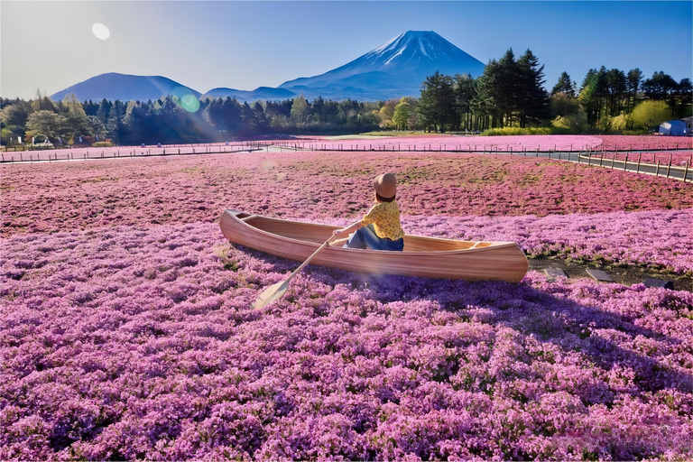 Desde Tokio: Tour en inglés de un día entero por el Monte Fuji digno de Instagram