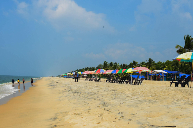 Z Kochi: 2-dniowa wycieczka na plażę Mararikulam