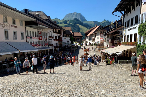 Berne : Excursion d'une journée dans la Gruyère et le vignoble de Lavaux avec fromage et vin