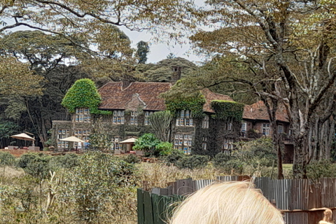 Nairobi: Nationalpark, Elefantenwaisenhaus und Giraffe Tour