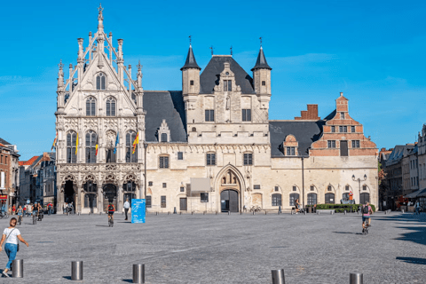 België: Excursie met de trein naar Mechelen en Leuven