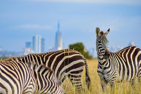 Nairobi National Park: Tour in a 4X4 Van (WiFi Included)Nairobi National Park: Tour in a Safari Van (WiFi Included)