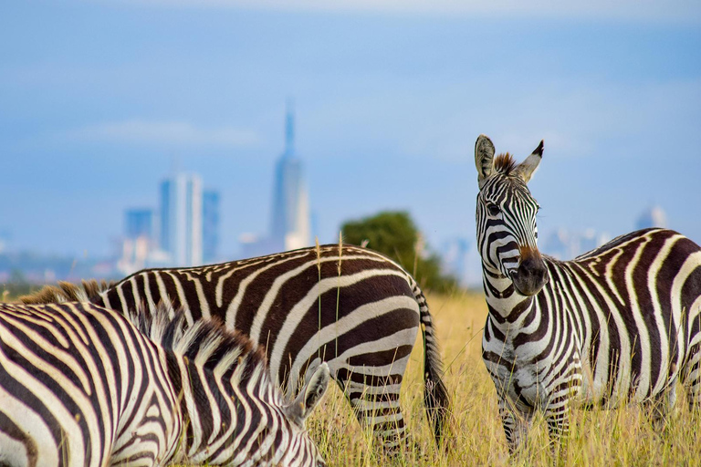 Nairobi National Park: Tour in a 4X4 Van (WiFi Included)Nairobi National Park: Tour in a Safari Van (WiFi Included)