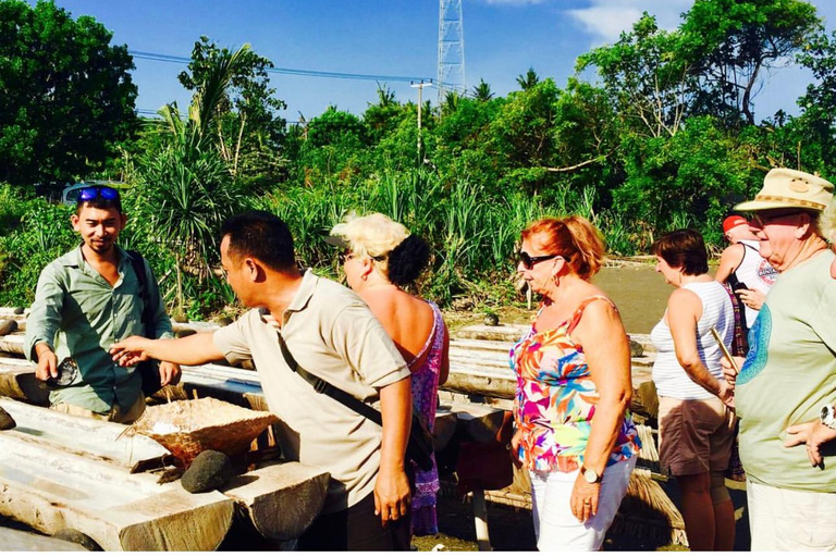 Sidemen : Villages traditionnels, ferme de sel et visite de Tirta Gangga