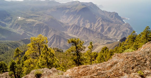 Gran Canaria: Chapter I – The Green Heart Small-Group Tour
