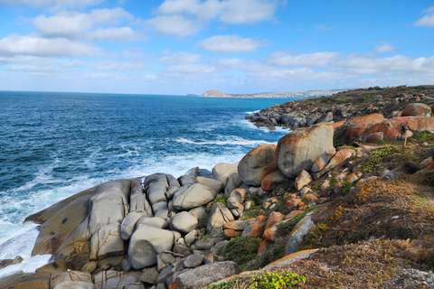 Adelaide: McLaren Vale, Port Elliot & Victor Harbor Tour