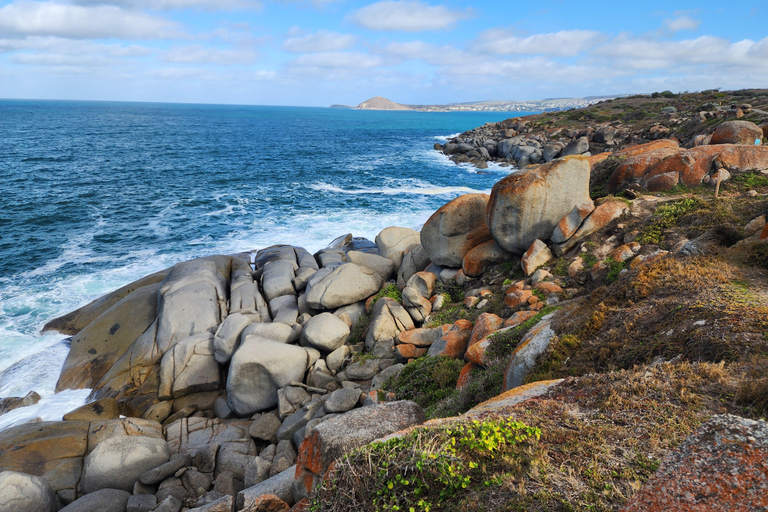 Adelaide: McLaren Vale, Port Elliot & Victor Harbor Tour