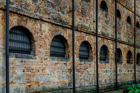 جولة خاصة في المتحف الوطني الكولومبي في بوغوتا مع التذاكر