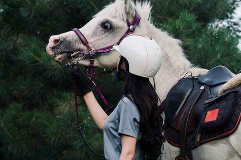 بكين: تجربة ركوب الخيل مع عشاء