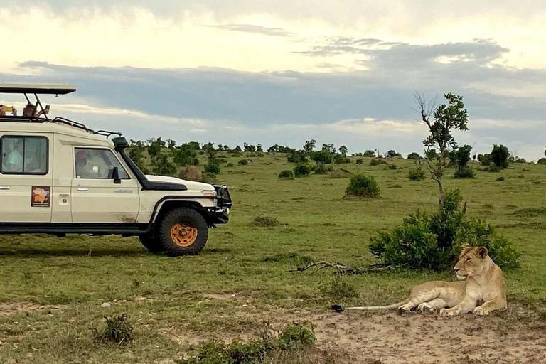 Tsavo Amboseli & Tsavo Expedition Safari Tour