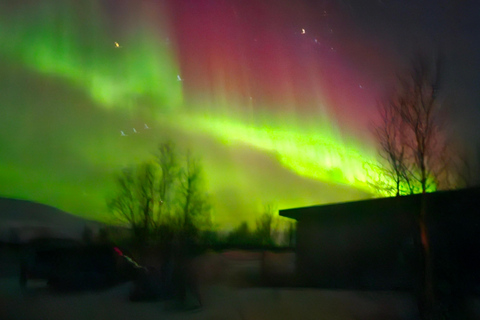 Tromsø: tour dell&#039;aurora boreale di 7 ore