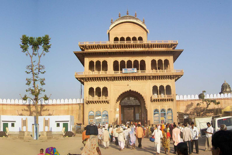 From Delhi: 5-Day Khajuraho, Orchha, Gwalior &amp; Jhansi Tour