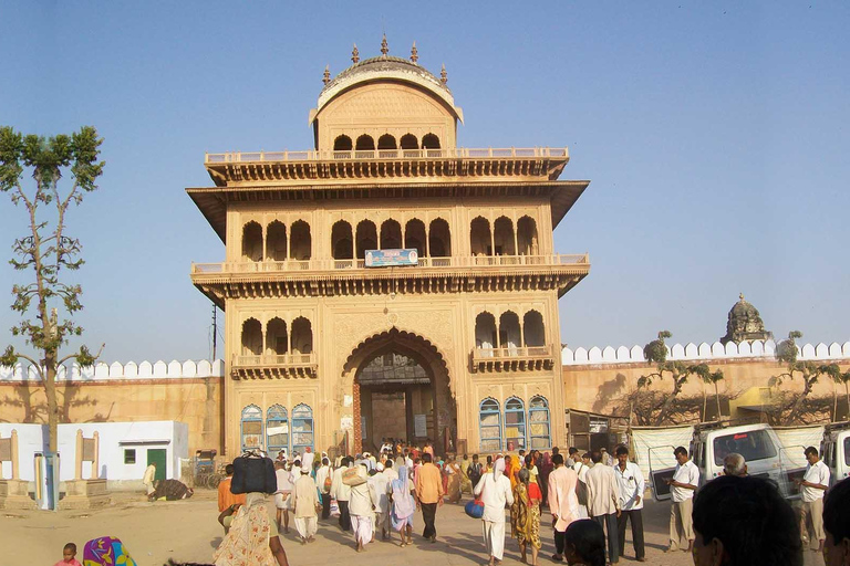 From Delhi: 5-Day Khajuraho, Orchha, Gwalior &amp; Jhansi Tour