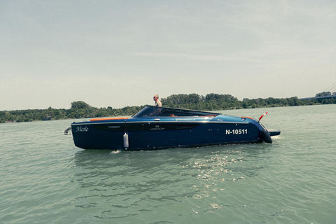 Wien: Exklusive Yachttour auf der DonauWien Zentrum Tour auf dem Wasser