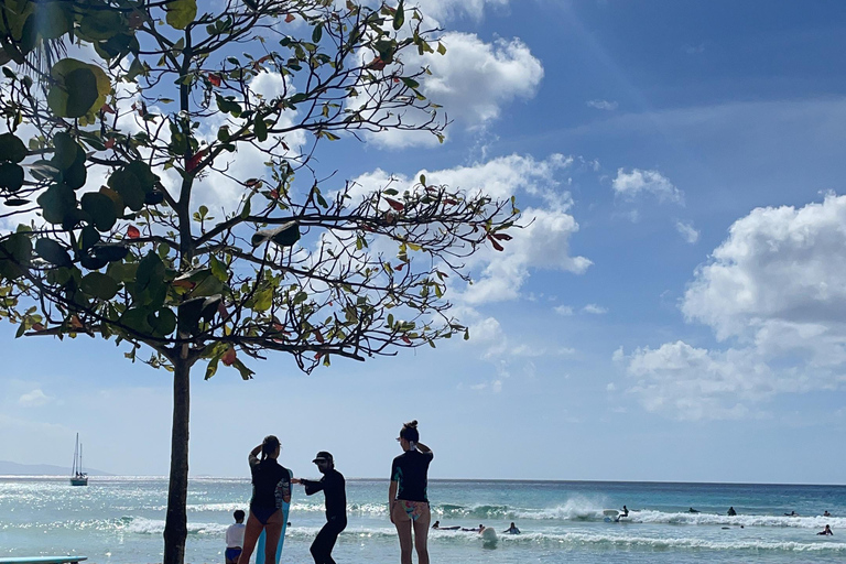 Aula particular de surfeAula particular de surf