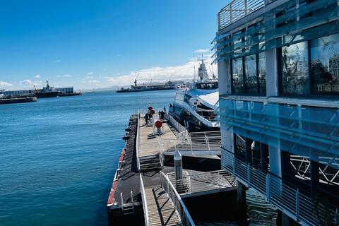 Robben Island, Penguins & Cape of Good Hope Adventure