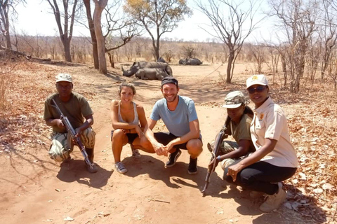 利文斯通犀牛邂逅和遗产之旅