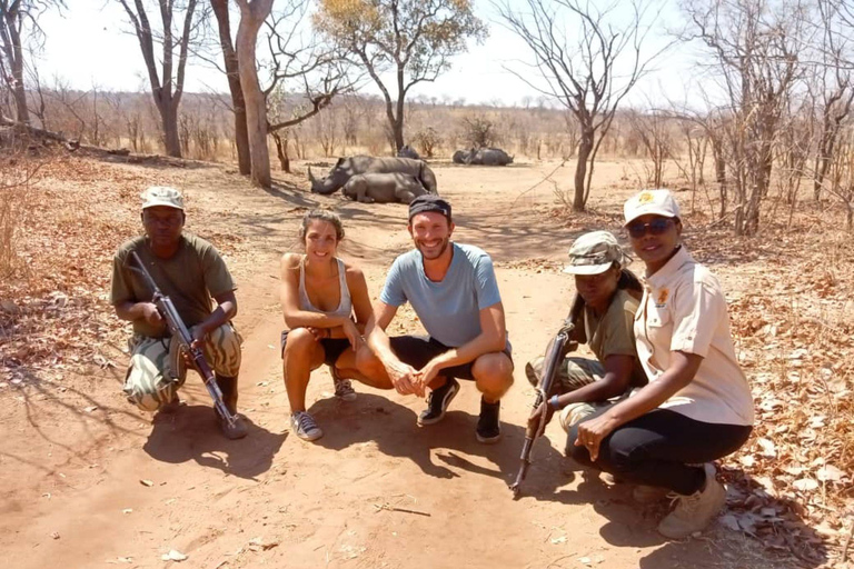 利文斯通犀牛邂逅和遗产之旅