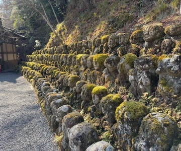 Kyoto: A Different Side of Arashiyama Guided Walking Tour