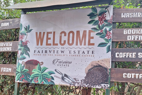 Nairobi: Fairview Coffee Farm Day Trip with Hotel Pickup