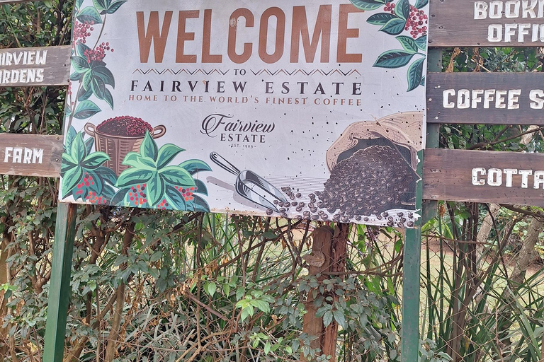 Nairobi: Fairview Coffee Farm Day Trip with Hotel Pickup