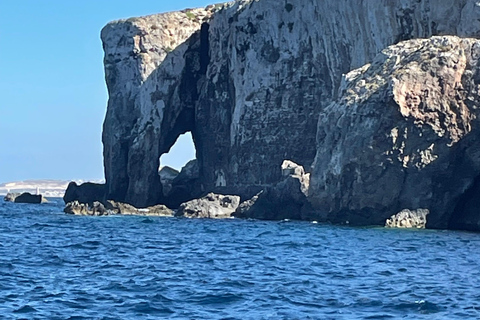 Malta/Gozo:Comino,Crystal/BlueLagoon&amp;Cuevas Excursión privada en barco