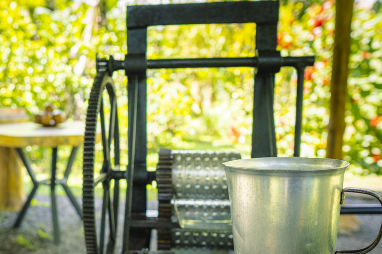 لا فورتونا: جولة الكسلان في متنزه بركان أرينال ووجبة خفيفة محلية