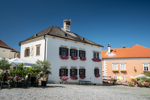 Private Tagestour ins Wiener Umland mit Weinverkostung